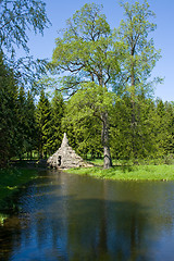 Image showing A pond in the royal park. St. Petersburg. Russia.