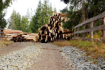 Image showing felled trees near a mountain road