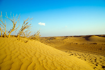 Image showing Desert landscape 
