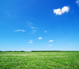 Image showing green field