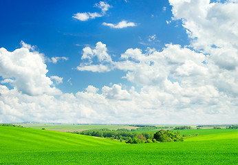 Image showing green field and blue sky