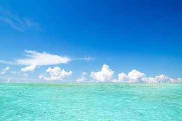 Image showing rocks and sea 