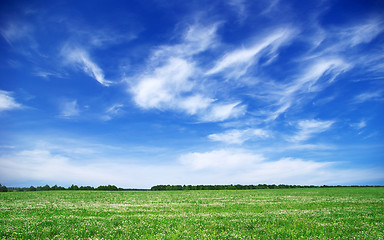 Image showing green field