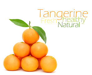 Image showing Tangerine