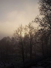 Image showing Dark graveyard