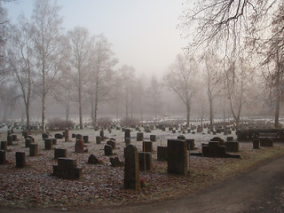 Image showing Misty  graveyard
