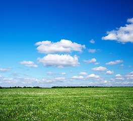 Image showing green field