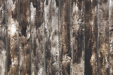 Image showing  wood texture