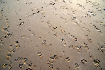 Image showing  sand