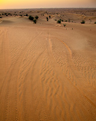 Image showing Desert