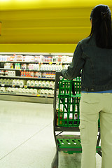 Image showing Grocery shopping