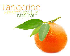 Image showing Tangerine