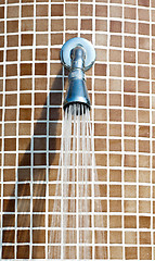 Image showing  shower 