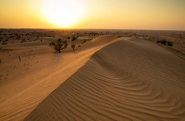 Image showing Desert 