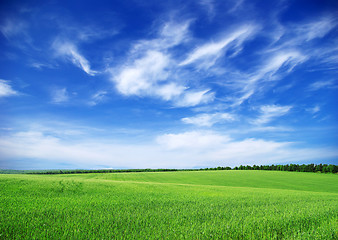 Image showing green field