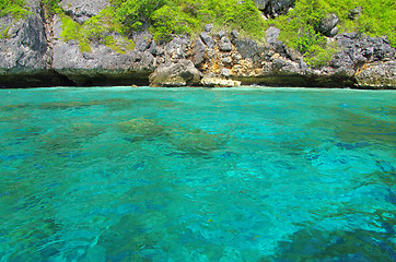 Image showing landscape of tropical