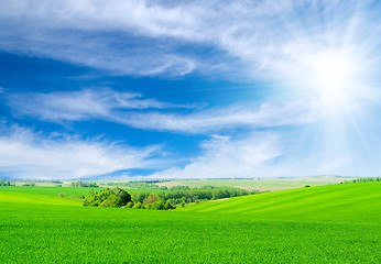 Image showing green field and blue sky