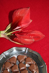 Image showing Chocolate hearts and amaryllis buds