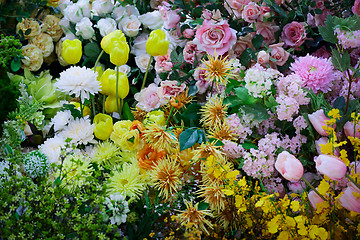 Image showing Flowers background