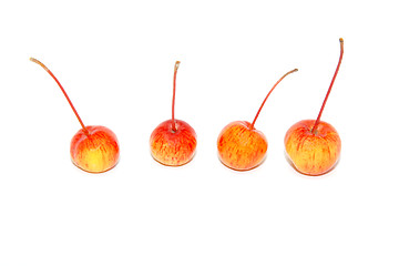 Image showing Four crab apples