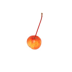 Image showing Single crab apple