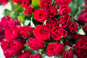 Image showing red roses