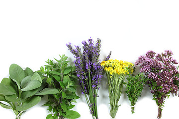 Image showing Fresh herbs