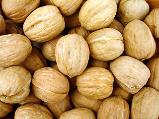 Image showing Nuts