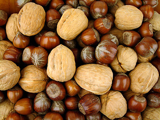 Image showing Nuts