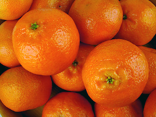 Image showing Mandarines