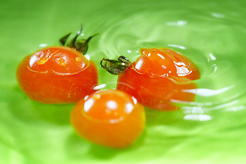 Image showing Tomato