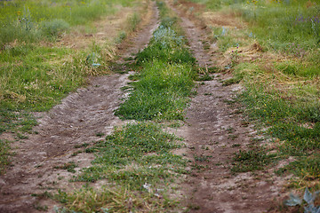 Image showing Country road