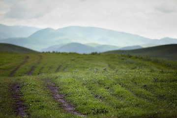 Image showing Wheel track to the mountains