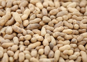 Image showing Unpeeled peanut