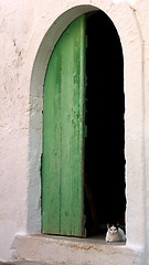 Image showing Cat in a doorway 2