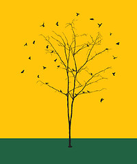 Image showing Leafless tree with birds silhouettes