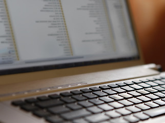 Image showing Young woman working on laptop