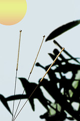 Image showing acupuncture needle