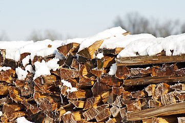 Image showing fuel-wood in wintertime