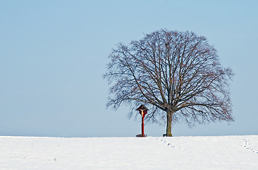 Image showing lime tree with snow and cross