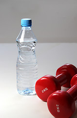 Image showing Red dumbbells 