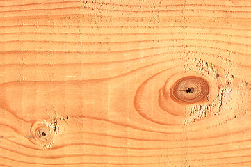 Image showing Pine Tree Lumber Macro