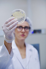 Image showing scientists working at the laboratory