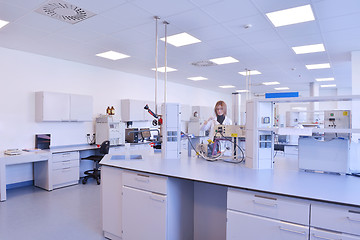 Image showing scientists working at the laboratory