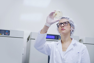 Image showing scientists working at the laboratory