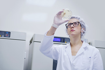 Image showing scientists working at the laboratory