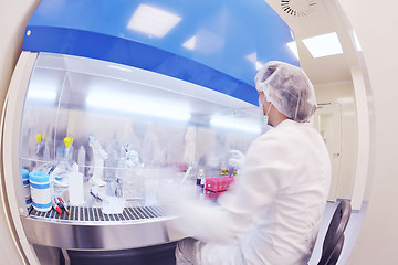 Image showing scientists working at the laboratory