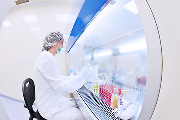 Image showing scientists working at the laboratory