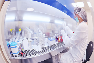 Image showing scientists working at the laboratory