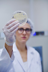 Image showing scientists working at the laboratory